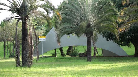 Long-shot-of-palm-trees-in-a-park,-cars-passing-behind-of-it,-and-a-sign-saying-Attention,-fishing-forbidden