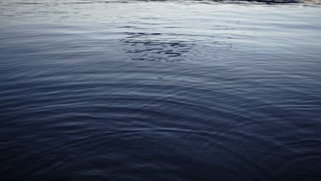 Natural-fresh-dark-water-shines,-reflects-and-ripples-on-surface-of-lake,-static-close-up