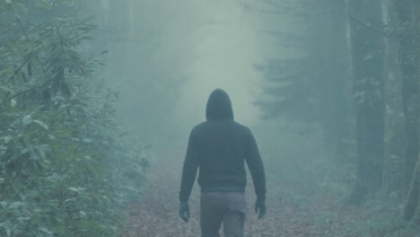Hooded-youth-walks-down-fog-covered-forest-avenue
