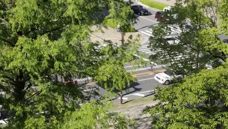 Time-Lapse-Of-Traffic-Intersection-In-Hiroshima,-Japan-Covered-By-Trees
