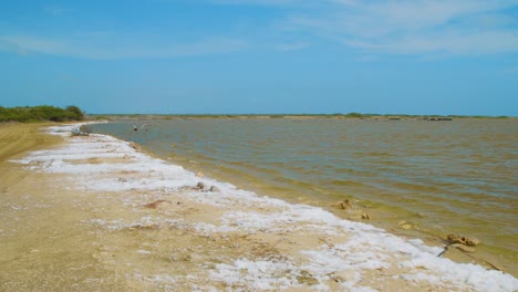 Salzwasserschaum,-Der-In-Kralendijk,-Bonaire,-An-Land-Gespült-Wurde-–-Mittlere-Aufnahme