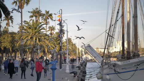 Flock-of-seagulls-fly-over-people-on-boardwalk-in-Barcelona,-Spain,-SLOW-MOTION