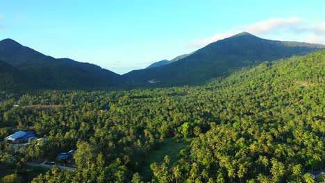Palmenwald-Rund-Um-Das-Ferienresort-Auf-Einer-Tropischen-Insel-Mit-Grünen-Hügeln-Unter-Strahlend-Blauem-Himmel-Bei-Sonnenaufgang-In-Myanmar