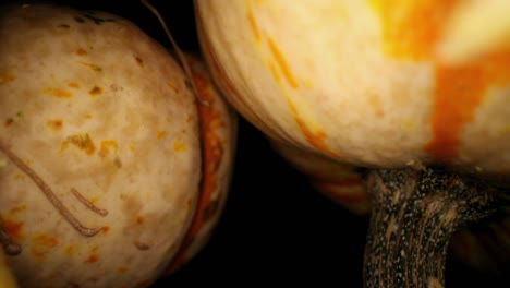 Starting-with-macro-view-of-two-gourds,-one-turned-onto-the-stem,-moving-back-through-core-of-a-gourd---lots-of-stringy-fibers-on-left-side,-a-couple-of-seeds-still-partially-embedded