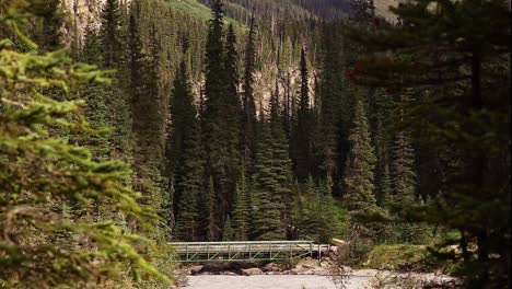 A-pedestrian-bridge-in-the-mountain-over-a-river-by-the-forrest