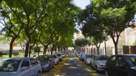 Cars-parked-in-a-street-with-green-trees-in-Barcelona