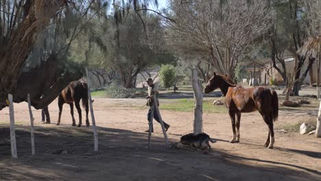 Two-kids-walking-their-horses-and-fooling-around-in-a-ranch,-wide-shot