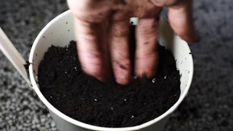 White-male-hand-is-putting-potting-soil-in-a-white-pot-in-a-circular-movement