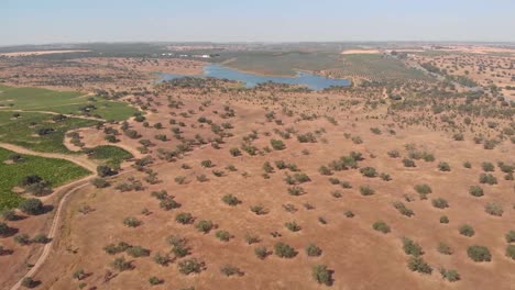 Aerial-forward-shot-of-dry-desert-and-lake-in-background-during-hot-summertime-in-Portugal