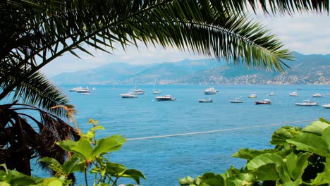 Boats-and-yachts-seen-through-vegetation---Summer,-daylight