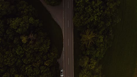 Rising-up-shot-of-a-drone-over-a-street-in-a-forest,-while-a-car-is-passing-by-and-following-the-camera-view-onto-it-to-the-golden-light-horizon-at-the-early-hours