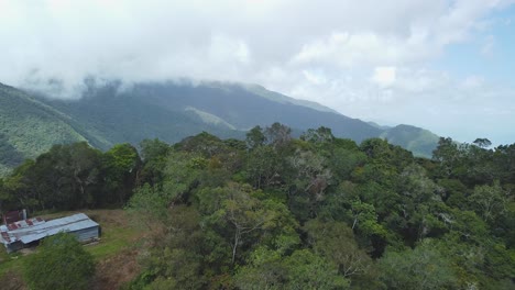 Die-Drohne-Steigt-Senkrecht-Von-Sonnenbeschienenen-Bäumen-Auf-Und-Enthüllt-Epische,-Waldbedeckte-Berge,-Deren-Gipfel-Auf-Die-Wolken-Treffen