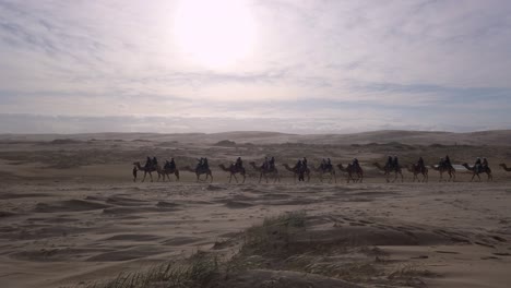 Camel-caravan-convoy-silhouettes-in-sand-dunes-of-Anna-Bay-on-a-sunny-day