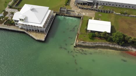 manatees-reserve-aerial-dynamic-tilt-and-pull-back