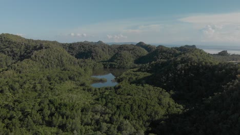 Wunderschöne-Luftdrohnenaufnahme-über-Dichtem-Grünen-Wald-Auf-Der-Insel-Siargao-Auf-Den-Philippinen
