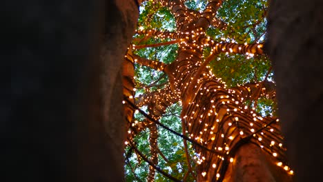 x-mas-LED-decoration-light-setting-on-tree