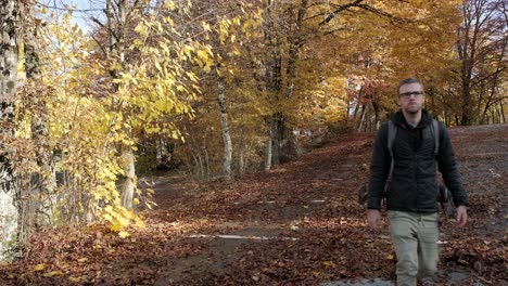 Ein-Fotograf-Geht-Durch-Herbstlich-Gefärbte-Bäume-Und-Schaut-Sich-Die-Farben-Des-Waldes-In-Slowenien-In-Der-Nähe-Des-Bohinjer-Sees-An,-Während-Er-Auf-Die-Kamera-Zugeht