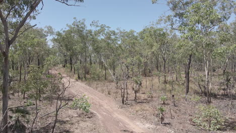 Disparo-De-Drones-Bajos-De-Camino-De-Tierra-Y-árboles-En-El-Territorio-Del-Norte,-Interior-Australiano