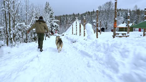 Siguiendo-A-Un-Hombre-Y-Perros-Esquimales-Corriendo-Entre-Una-Casa-Y-La-Nieve,-En-Un-Día-De-Invierno-Nublado,---Toma-Manual-En-Cámara-Lenta