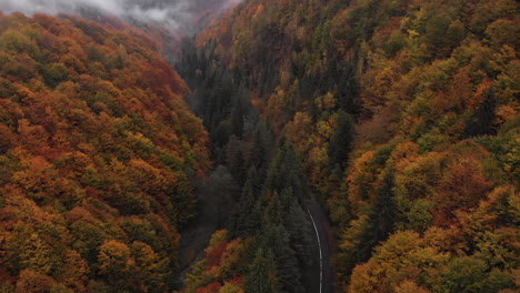 Aerial-view-over-a-car-passing-by-on-a-forest-road-surrounded-by-a-colorful-forest-in-autumn,-Transylvania,-Romania,-Crane-shot