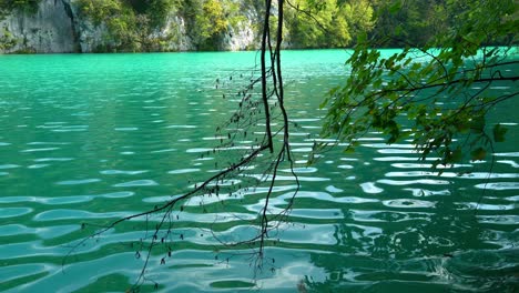 View-across-a-turqoise-colored-lake-with-white-rock-walls-in-the-background-in-Plitvice-Lakes-National-Park-in-Croatia,-Europe