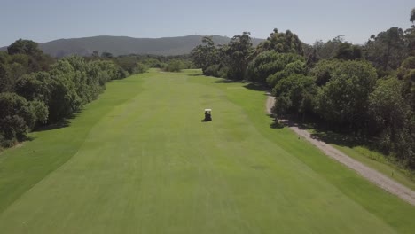 Following-tracking-aerial-of-golf-cart-driving-down-green-fairway