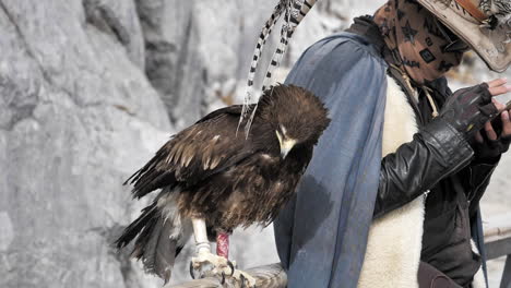 Slow-Motion-Falcon-at-Jade-Dragon-Snow-Mountain,-Yunnan,-China