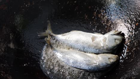 2-Fische,-Kurze-Makrelen,-In-Den-Kochenden-Kochtopf-Gleiten-Lassen