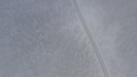 Blick-Durch-Den-Nebel-Nach-Unten-Auf-Eine-Verschneite-Und-Vereiste-Straße-Im-Winter,-Umgeben-Von-Wald