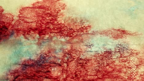Stationary-shot-of-blue-and-red-ink-spreading-on-a-piece-of-paper