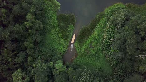 Jungle-Safari-Boat-in-Rain-Forests-in-Gatun-Lake,-Panama