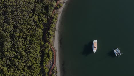 Sich-Schnell-Bewegendes-Drohnenvideo-Mit-Blick-Auf-Einen-Geheimen-Holzsteg,-Der-Sich-Durch-Ein-Küstenschutzfeuchtgebiet-Schlängelt