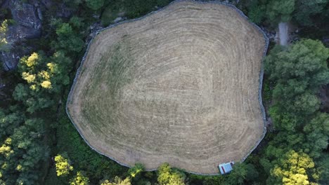 Aerial-view-of-field-surrounded-by-trees-in-Peneda-Geres-National-Park,-Portugal,-Europe,-going-up
