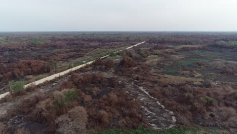 Pantanal-Lauffeuer,-Verbrannter-Wald,-Schwarze-Vegetation,-Luftaufnahme-Mit-Transpantaneira-Straße