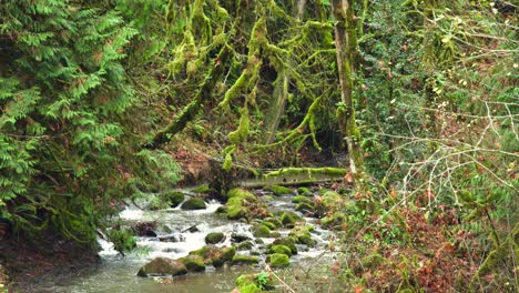 Creek-passes-through-small-rocks-and-boulders-in-Hidden-Falls-Nature-Part