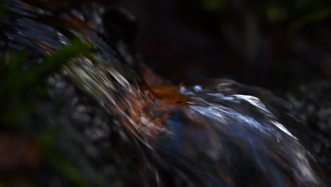 Slow-motion-macro-video-of-a-miniature-waterfall-with-autumn-colored-birch-tree-leaf-in-it