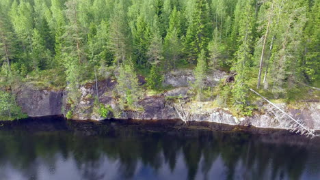 Drone-footage-of-storm-fallen-old-pine-trees-on-a-steep-cliff-in-the-boreal-wilderness