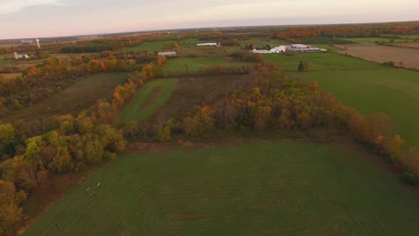 Aerial-view-of-green-farmland-and-fall-foliage-on-tall-trees