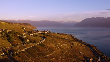 Aerial-shot-climbing-and-revealing-Grandvaux-village-and-Lavaux-vineyard-at-sunset-with-autumn-colors