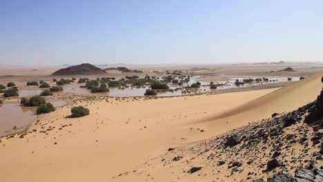 Sáhara-De-Argelia