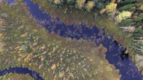 Slowly-rotating-aerial-footage-of-a-stunning-river-and-forest-in-the-wilderness