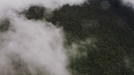 Flying-over-White-cloud-covering-green-forest,-Aerial-shot