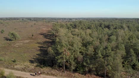 Aerial-view-of-two-horseback-riders-on-a-sand-road-entering-the-frame-coming-from-a-moorland-landscape-into-a-forest-surrounding