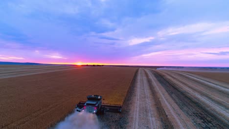 Harvester-reaping-wheat-at-sunset-in-South-Australia