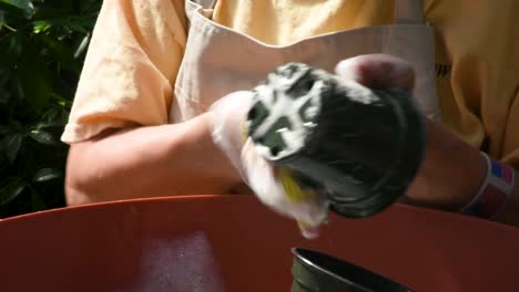 Scrub-down-cleaning-of-flower-pot-with-soap-and-water-close-up