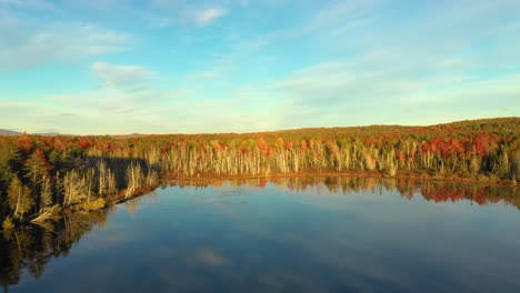 Aerial-Footage-of-Pulling-back-and-up-from-forest-with-dead-trees-and-fall-colors-over-glassy-pond