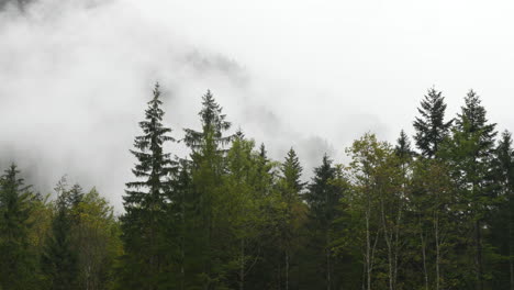 Regentag-Im-Alpental-Mit-Niedrigen-Wolken,-Logarska-Dolina,-Slowenien,-Wolken-Und-Nebel-Bewegen-Sich-Langsam-Hinter-Bäumen,-Unvorhersehbares-Bergwetter,-Gefahr-Für-Wanderer-Und-Kletterer,-Zeitraffer,-4k