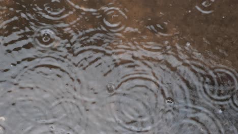 Raindrops-falling-into-the-puddle-on-the-ground