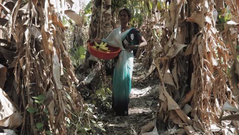 Indian-woman-talks-to-the-camera-from-the-middle-of-a-banana-plantation
