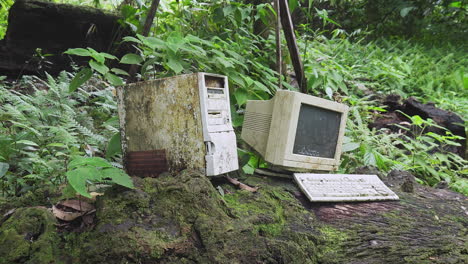 Obsolete-vintage-computer-on-a-log-in-a-lush-green-jungle,-Zoom-In